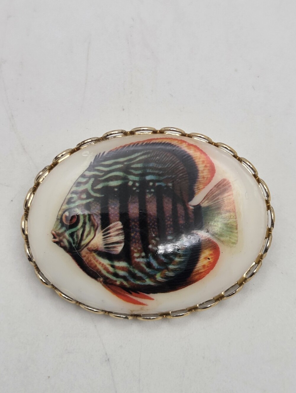Vintage Oval Tropical Discus Fish Brooch Gold Tone Scalloped Frame
